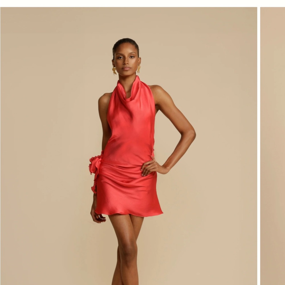 *NWT* ARCINA ORI ROSA DRESS